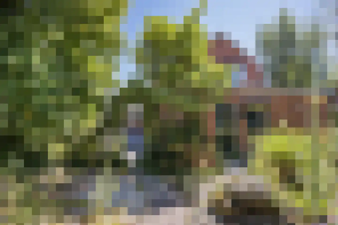 Laagsestraat 17 Oud Ootmarsum thumbnail 46