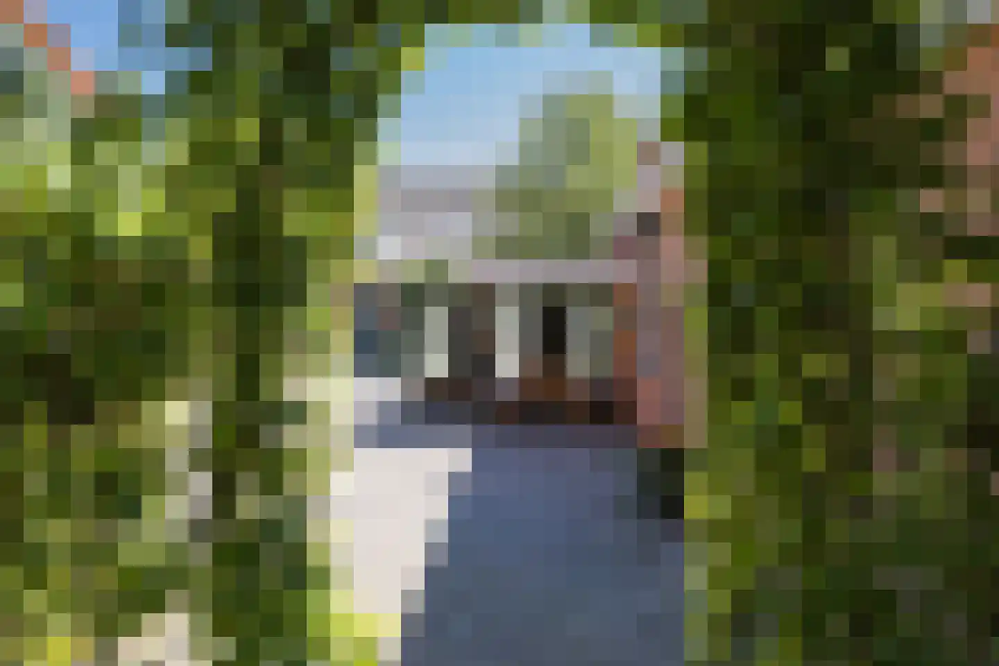 Laagsestraat 17 Oud Ootmarsum thumbnail 47