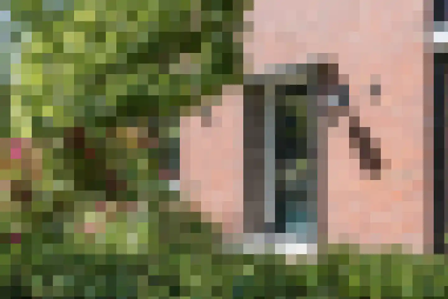 Laagsestraat 17 Oud Ootmarsum thumbnail 5