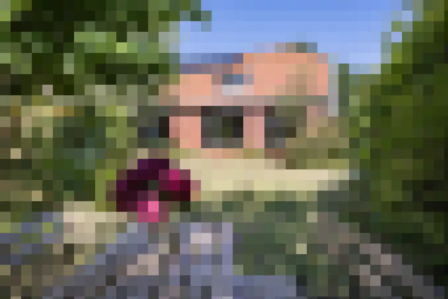 Laagsestraat 17 Oud Ootmarsum thumbnail 50