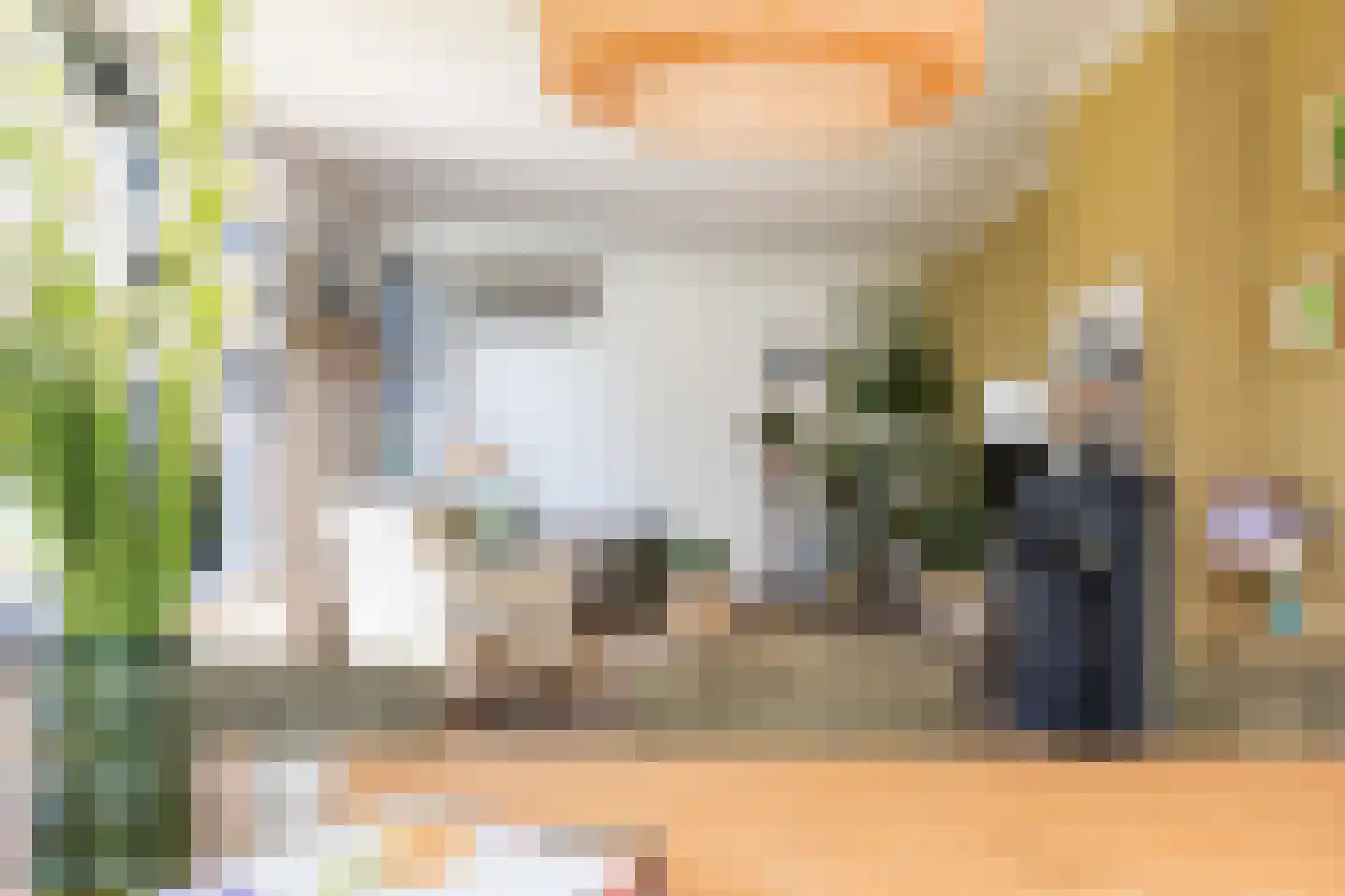 Laagsestraat 17 Oud Ootmarsum thumbnail 9