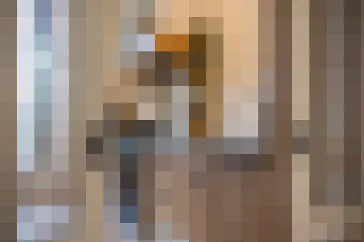 Laagseweg 87 Hezingen thumbnail 23