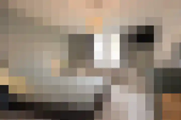 Laagseweg 87 Hezingen thumbnail 27