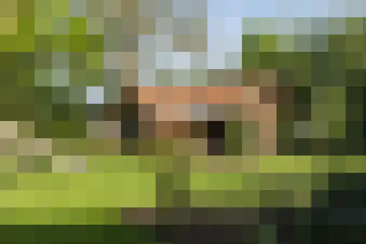 Laagseweg 87 Hezingen thumbnail 37