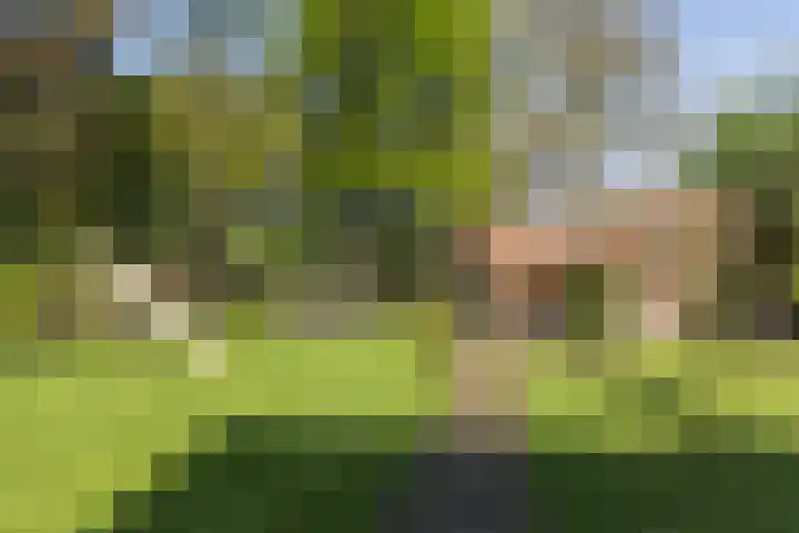 Laagseweg 87 Hezingen thumbnail 38