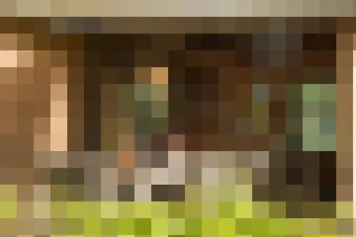 Laagseweg 87 Hezingen thumbnail 39