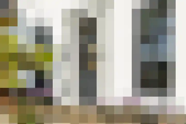 Laagseweg 87 Hezingen thumbnail 4