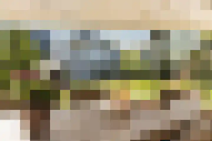 Laagseweg 87 Hezingen thumbnail 46