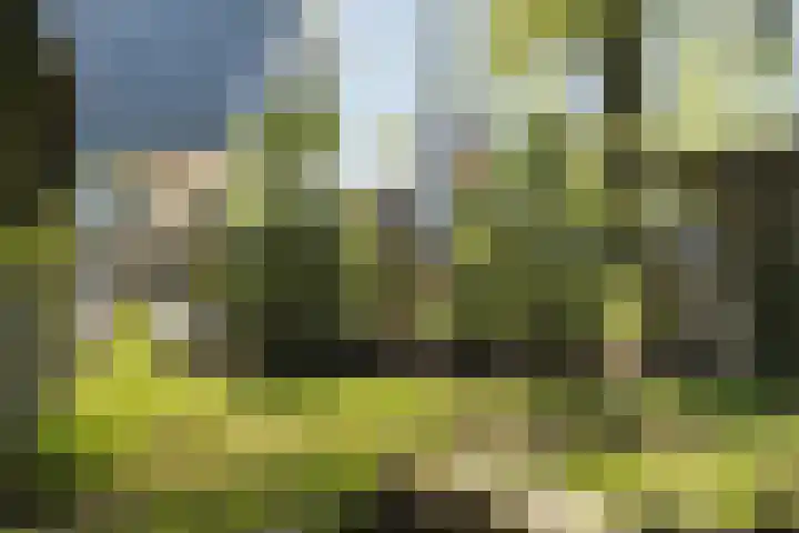 Laagseweg 87 Hezingen thumbnail 51