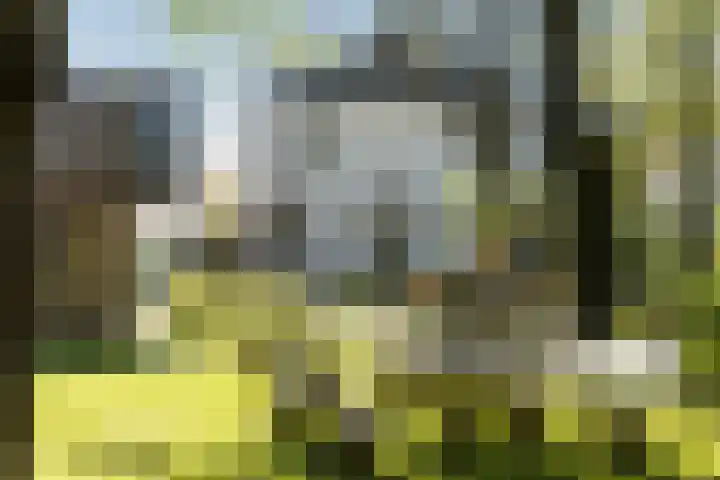 Laagseweg 87 Hezingen thumbnail 53