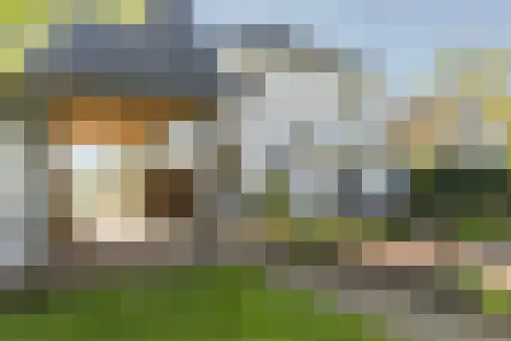 Laagseweg 87 Hezingen thumbnail 54