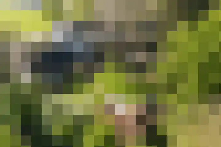 Laagseweg 87 Hezingen thumbnail 56