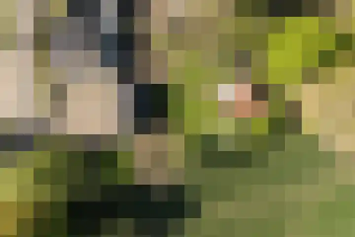 Laagseweg 87 Hezingen thumbnail 57