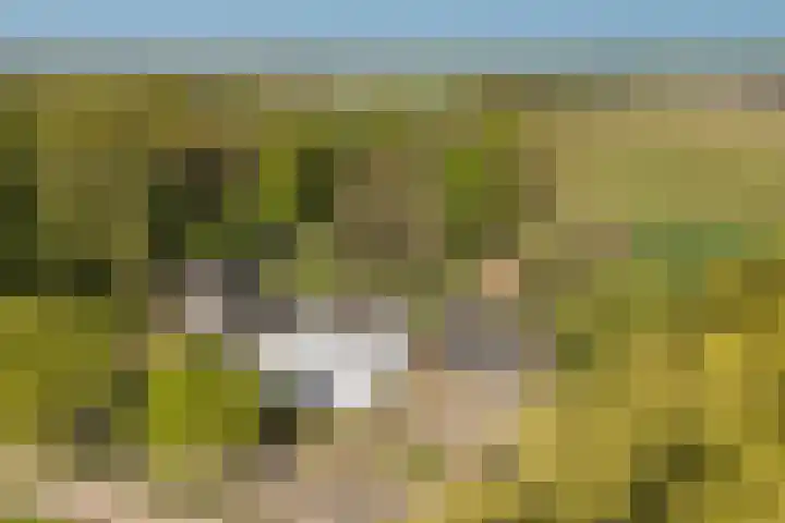 Laagseweg 87 Hezingen thumbnail 58