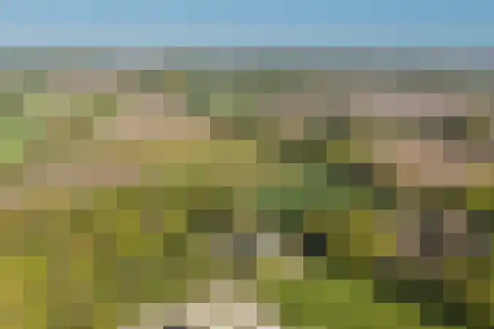 Laagseweg 87 Hezingen thumbnail 59