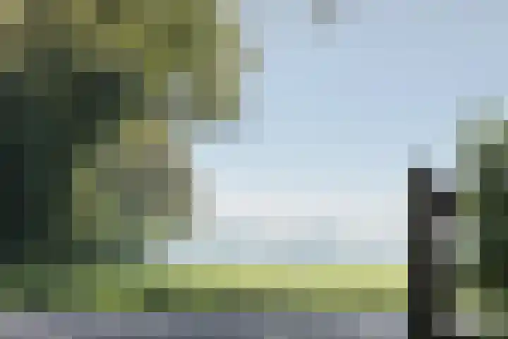 Laagseweg 87 Hezingen thumbnail 60