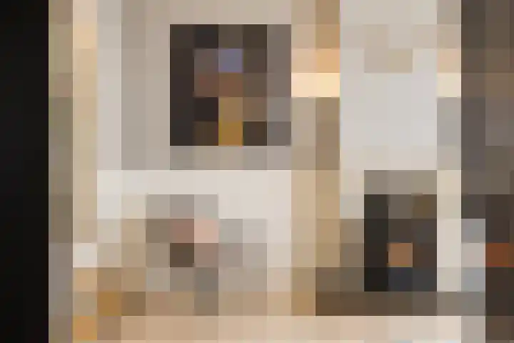 Laagseweg 87 Hezingen thumbnail 7
