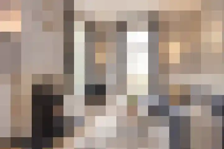 Laagseweg 87 Hezingen thumbnail 8