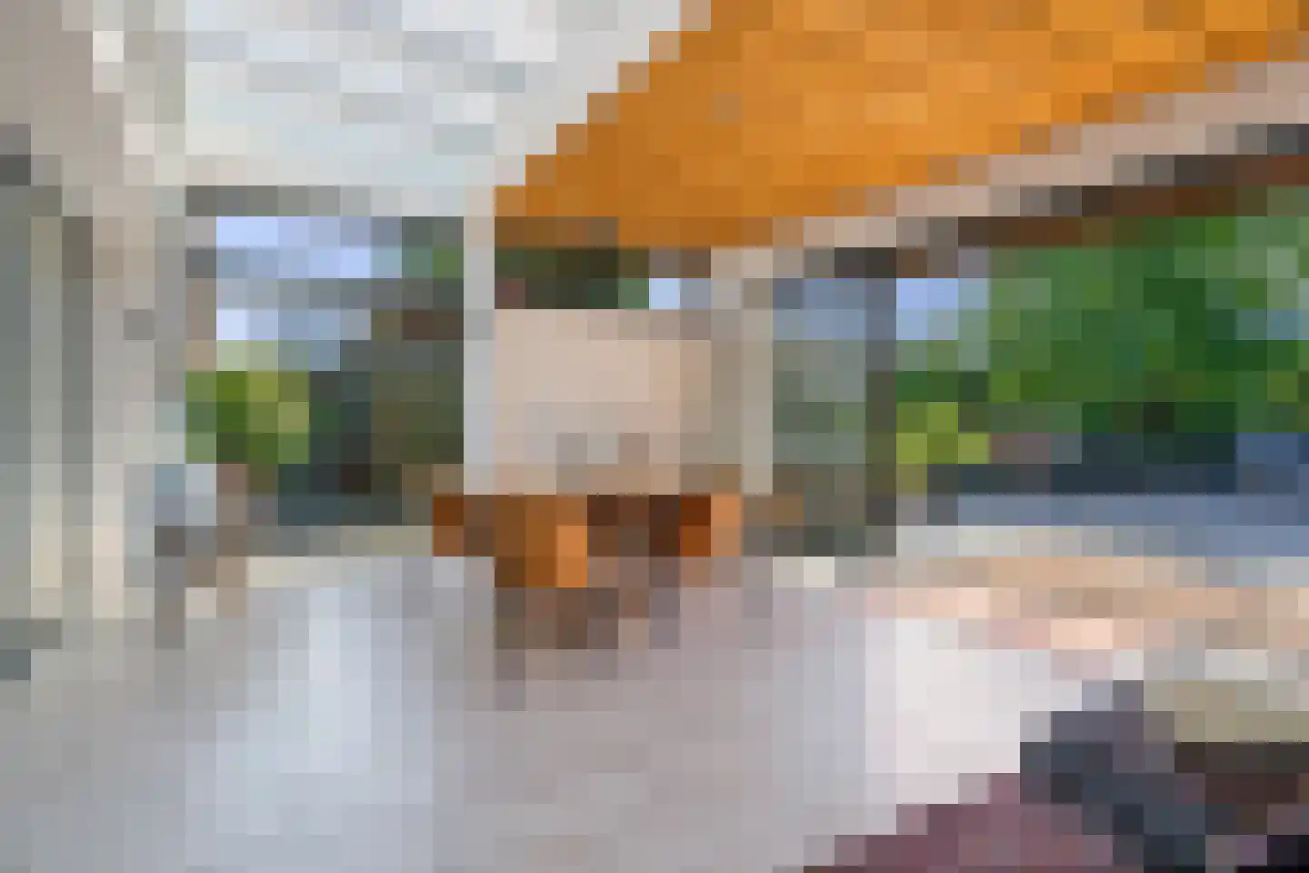 Laagsteen 15 Breda thumbnail 25