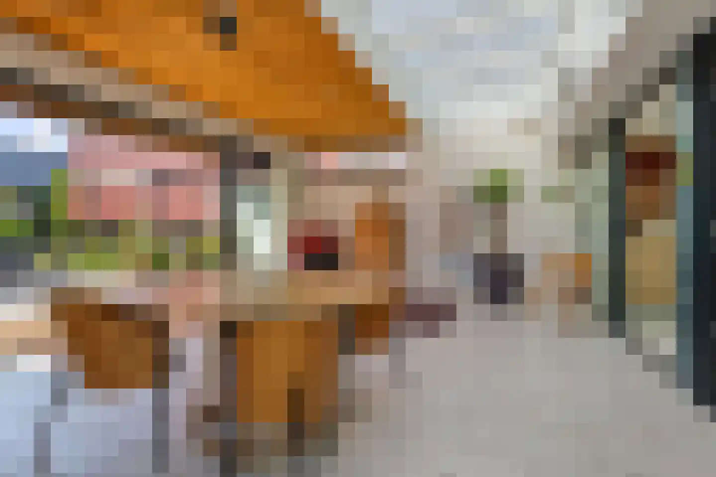 Laagsteen 15 Breda thumbnail 26