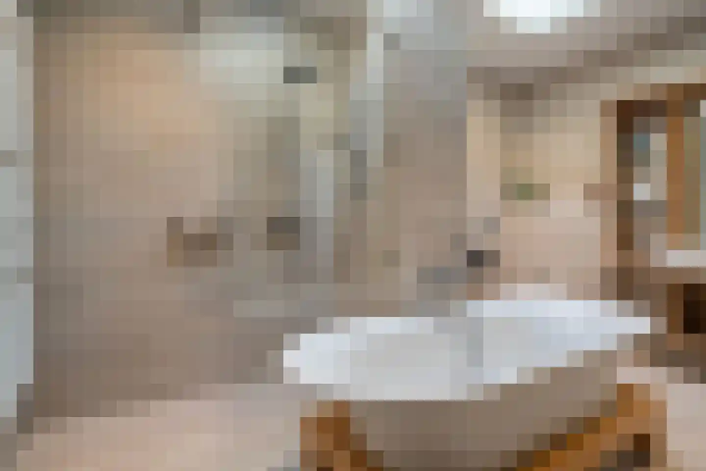 Laagsteen 15 Breda thumbnail 49
