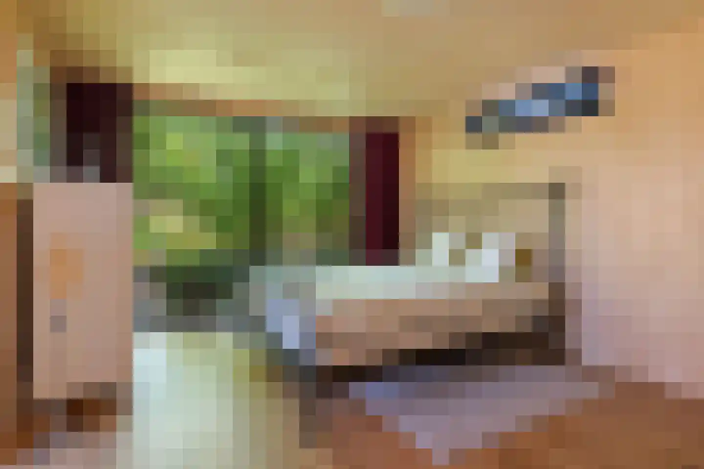 Laagsteen 15 Breda thumbnail 68