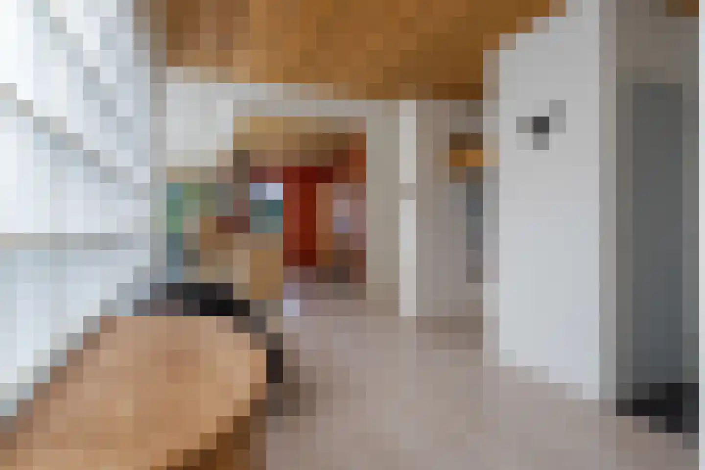 Laagsteen 15 Breda thumbnail 8