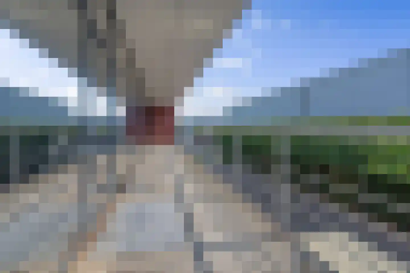 Laagsteen 15 Breda thumbnail 92