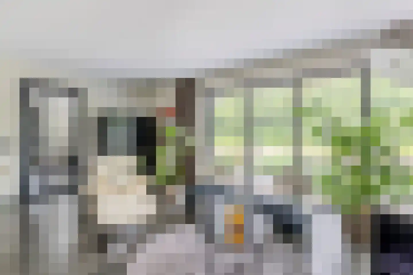 Laagsteen 17 Breda thumbnail 15