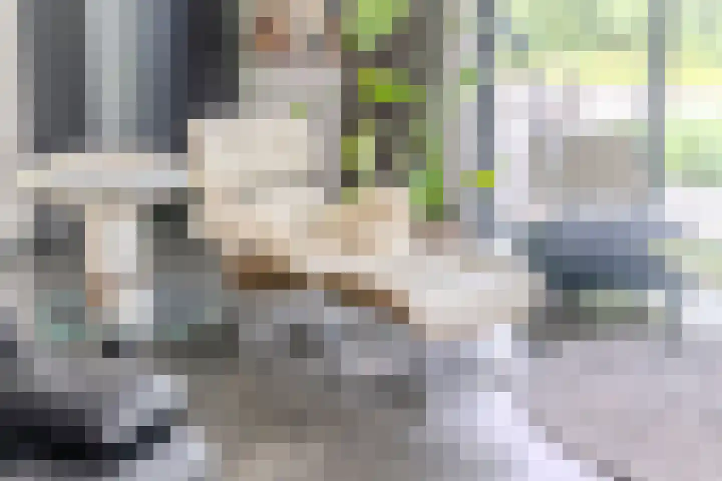 Laagsteen 17 Breda thumbnail 17