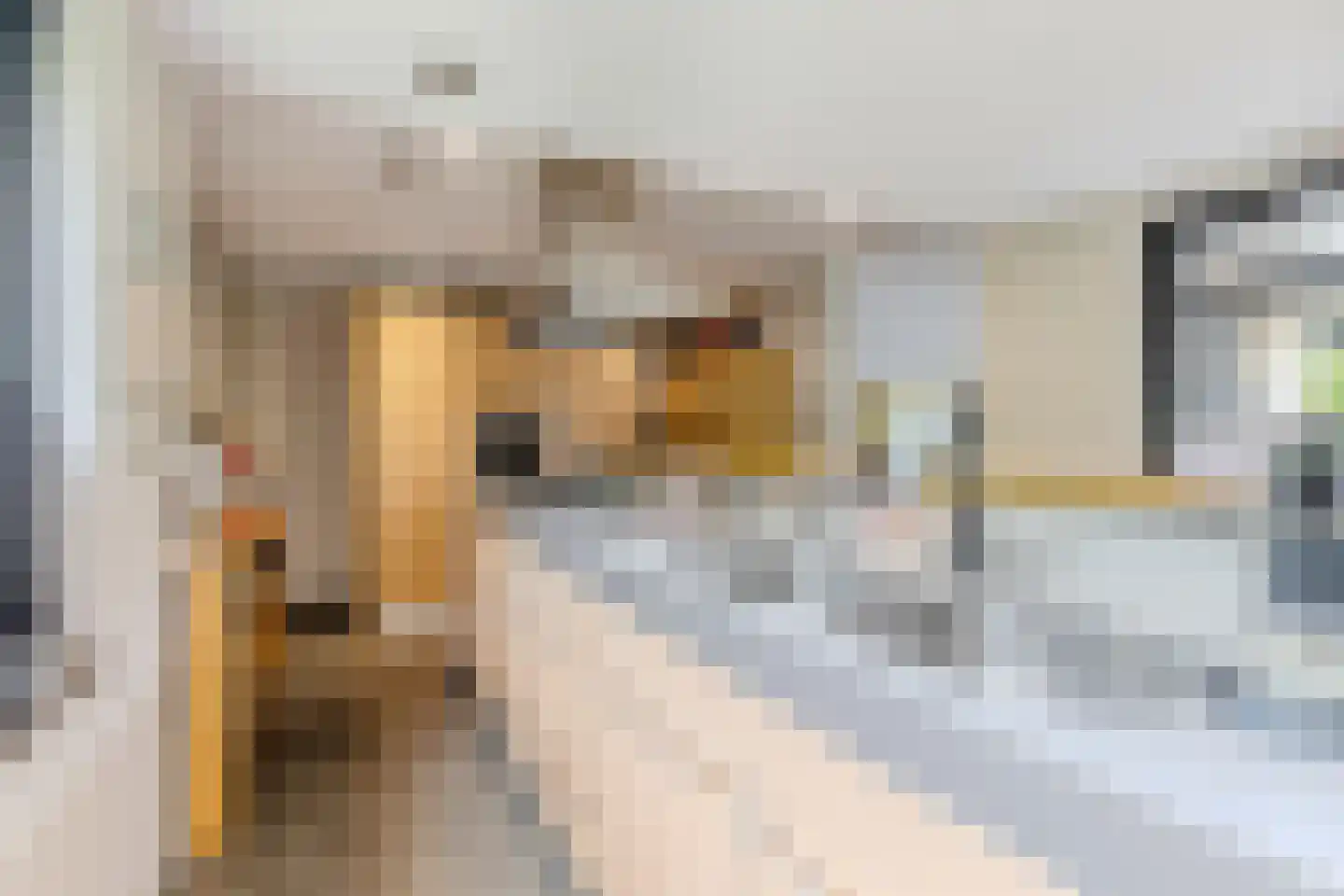 Laagsteen 17 Breda thumbnail 22