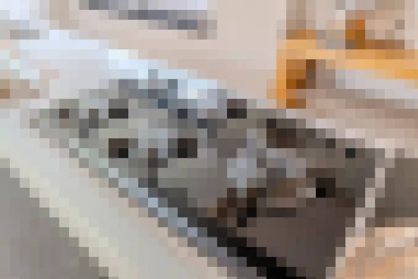Laagsteen 17 Breda thumbnail 23