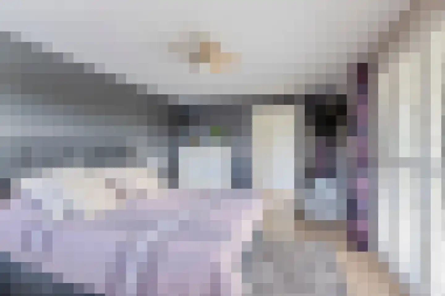 Laagsteen 17 Breda thumbnail 30