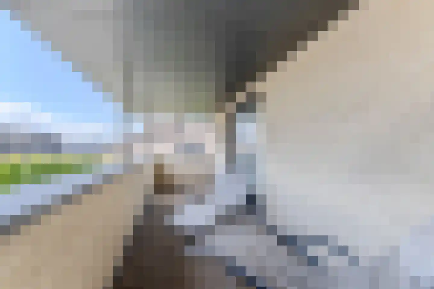 Laagsteen 17 Breda thumbnail 42