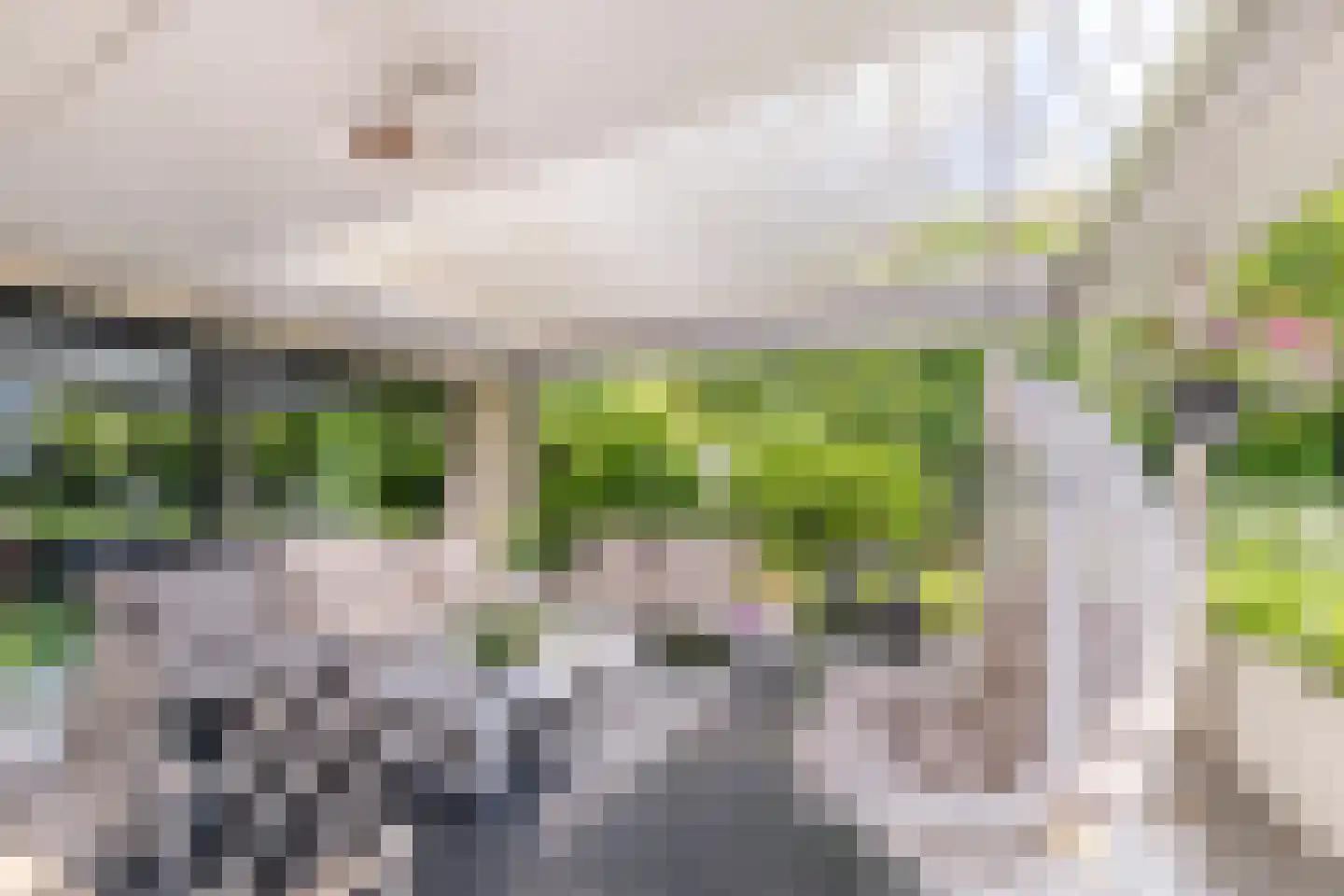 Laagsteen 17 Breda thumbnail 48