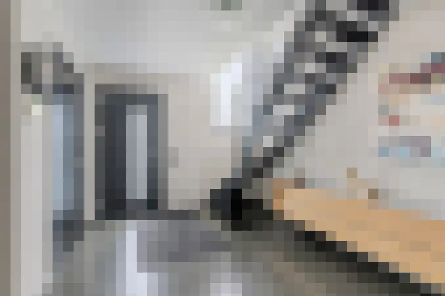 Laagsteen 17 Breda thumbnail 5