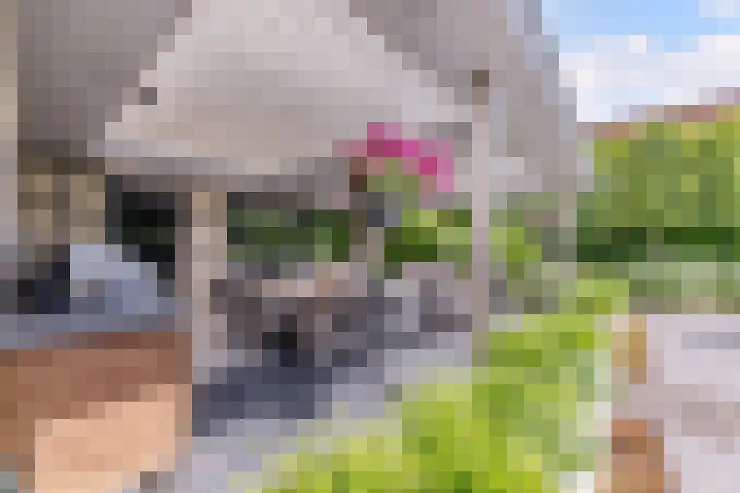 Laagsteen 17 Breda thumbnail 50