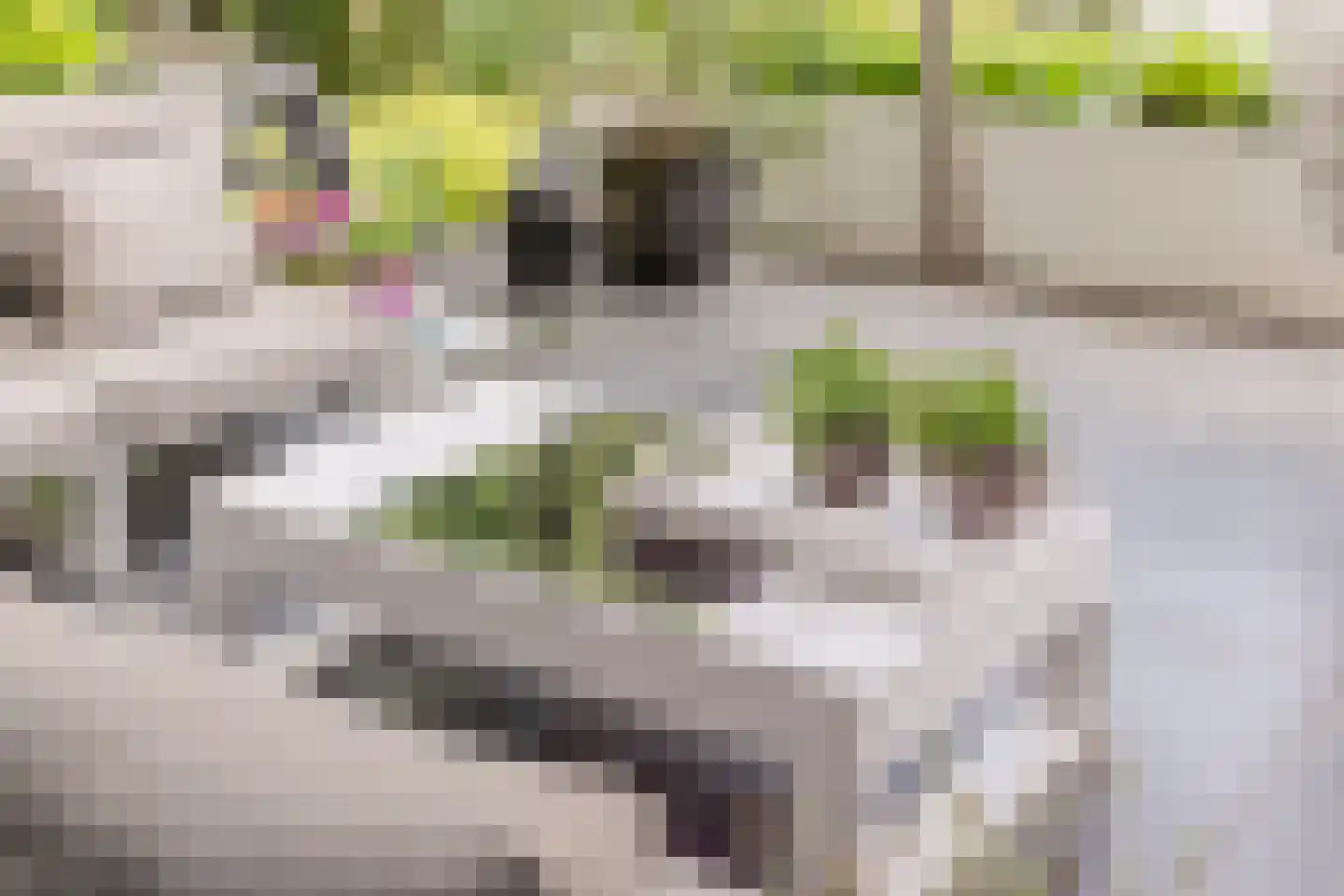 Laagsteen 17 Breda thumbnail 51
