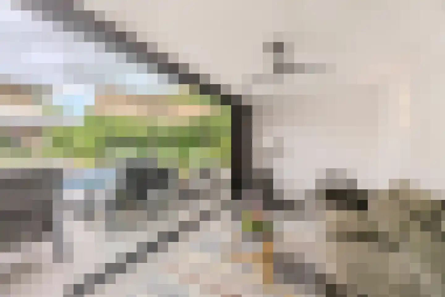 Laagsteen 17 Breda thumbnail 61