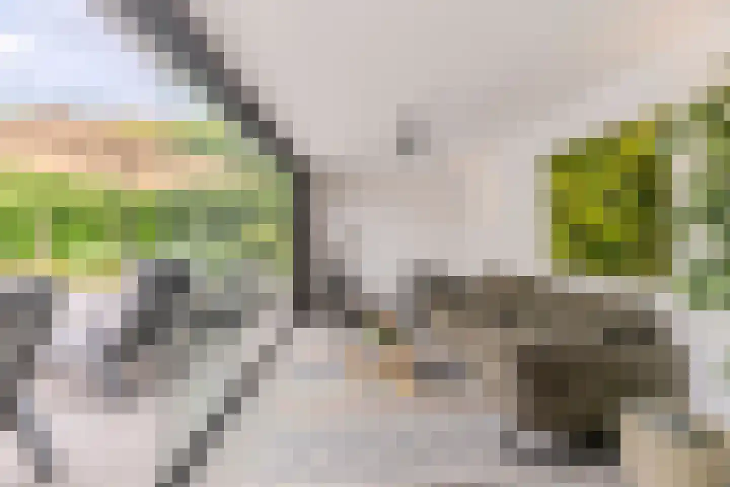 Laagsteen 17 Breda thumbnail 63
