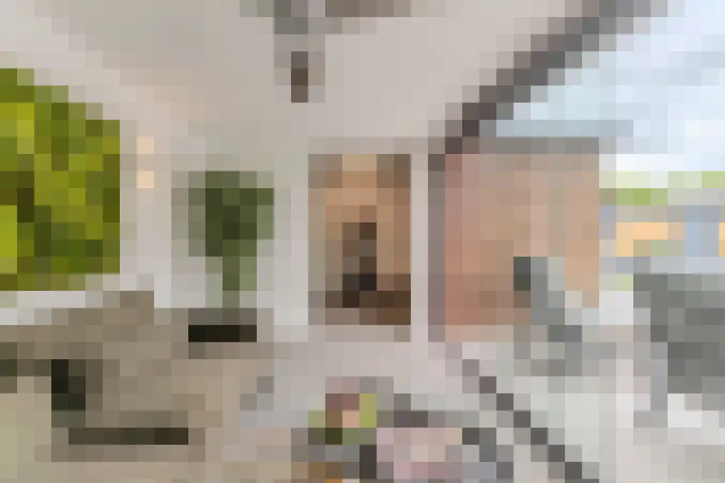 Laagsteen 17 Breda thumbnail 64