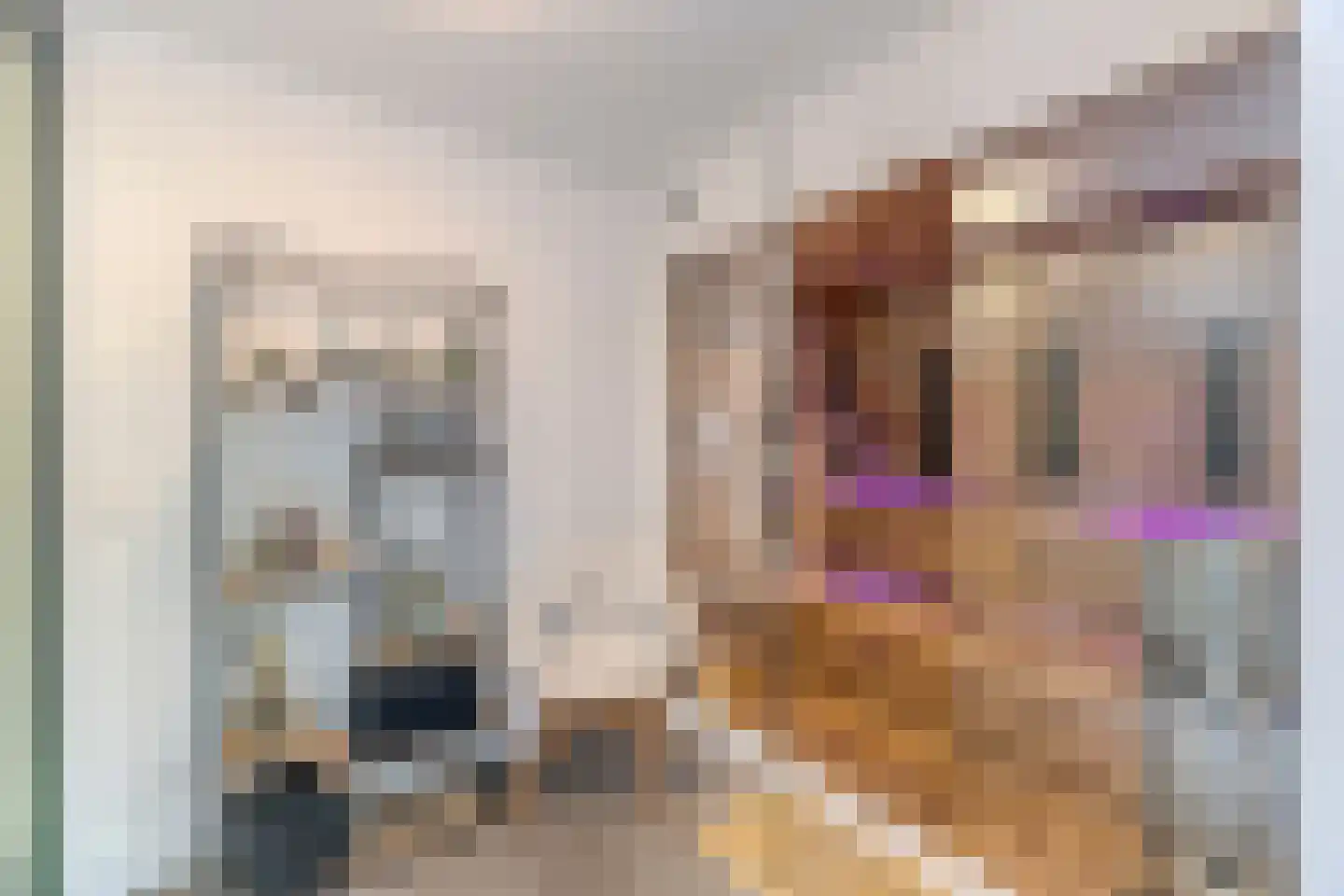 Laagsteen 17 Breda thumbnail 65