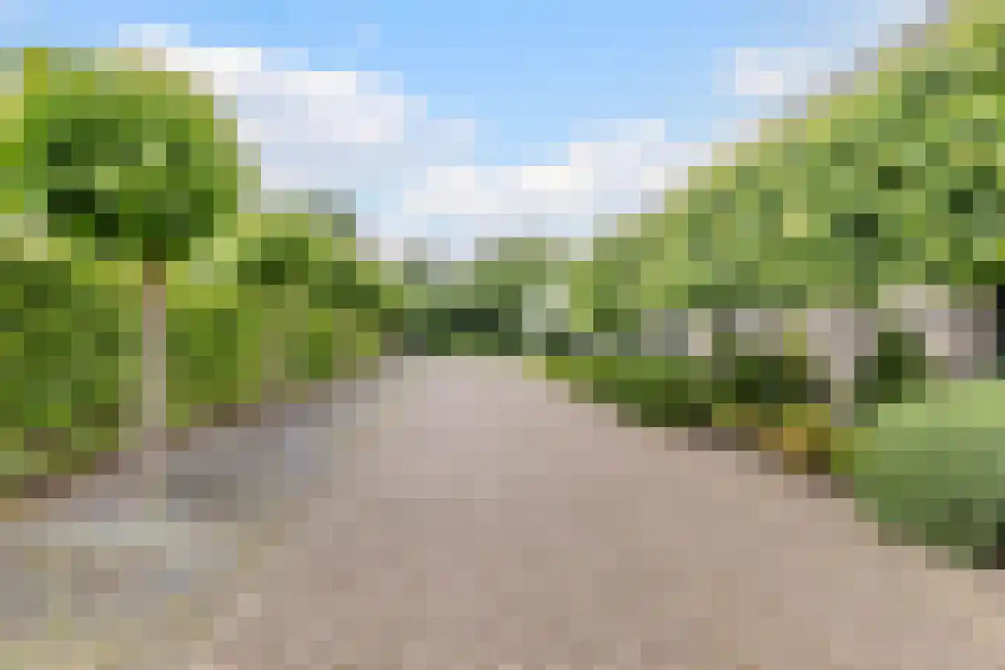 Laagsteen 17 Breda thumbnail 74