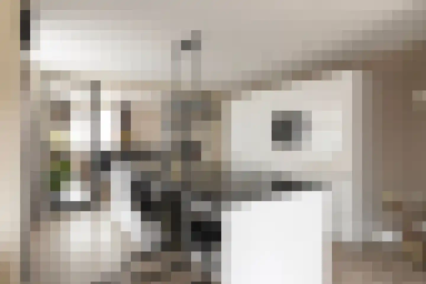 Laagstraat 12 Haren thumbnail 20