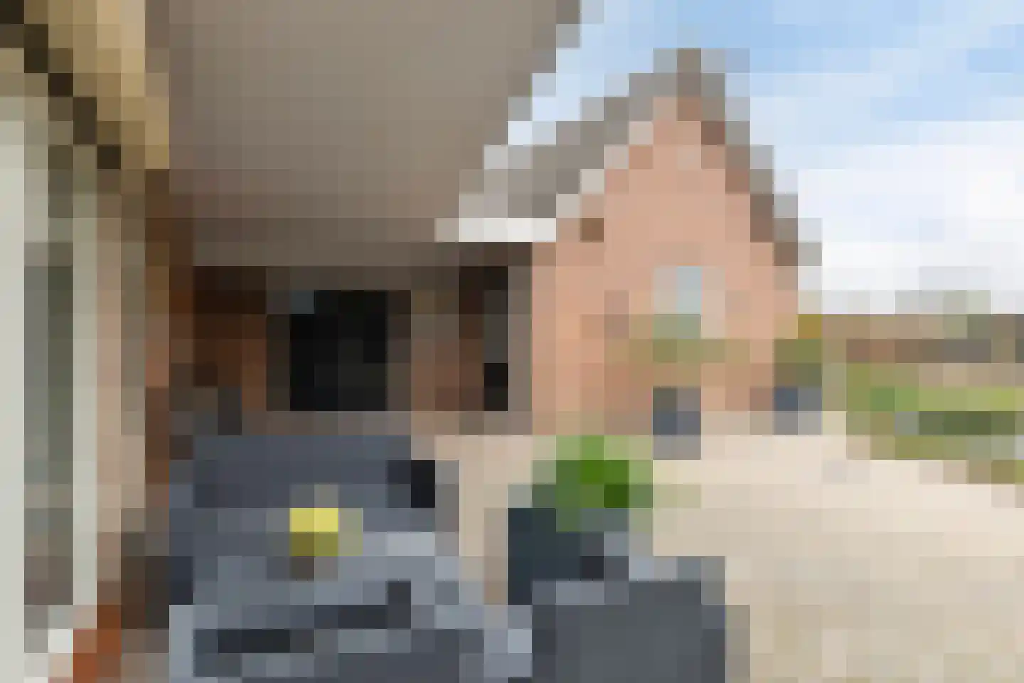 Laagstraat 12 Haren thumbnail 38