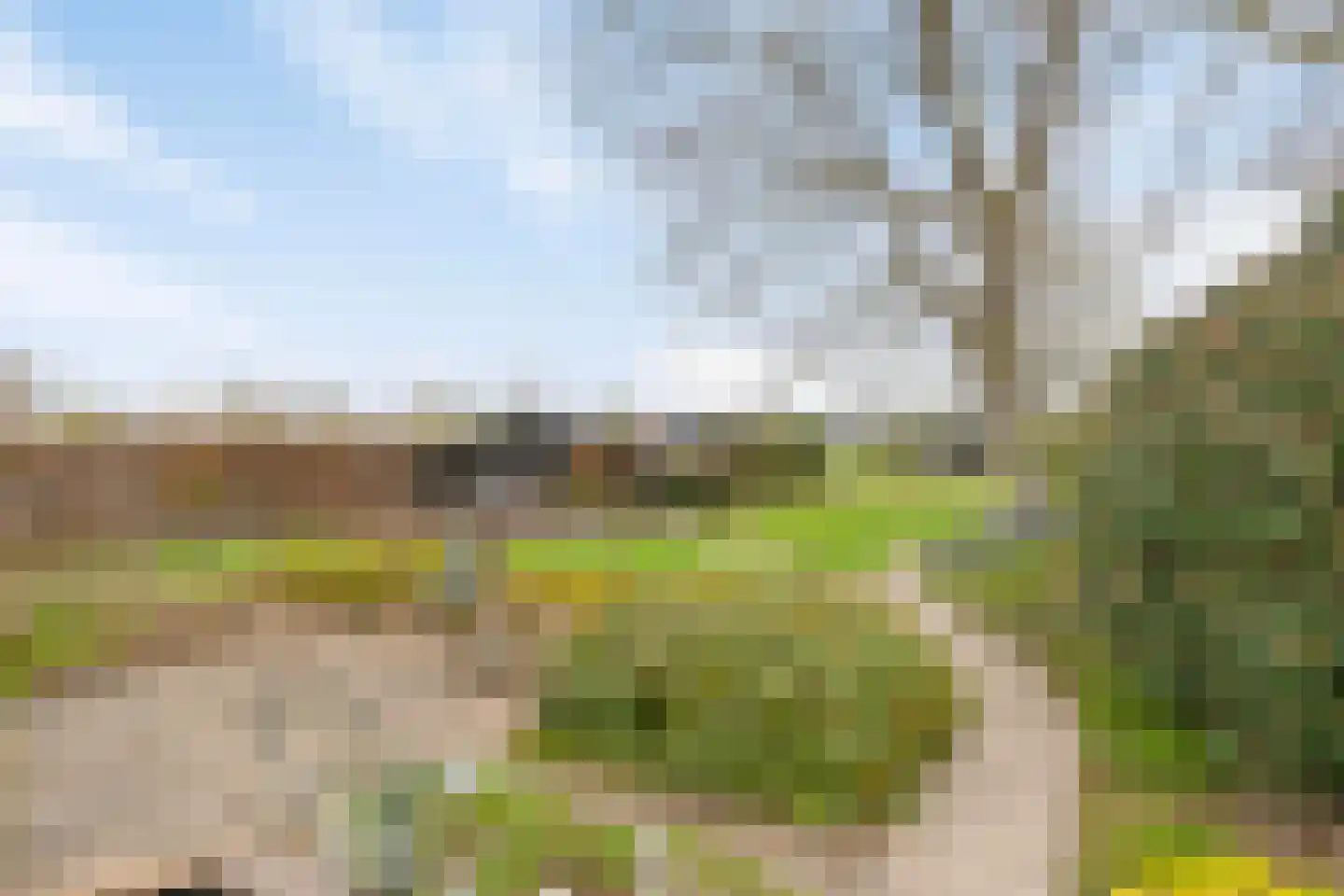 Laagstraat 12 Haren thumbnail 41