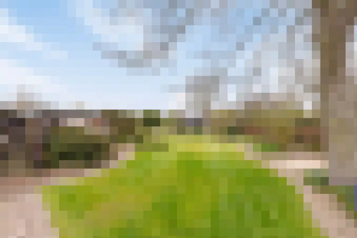 Laagstraat 12 Haren thumbnail 42
