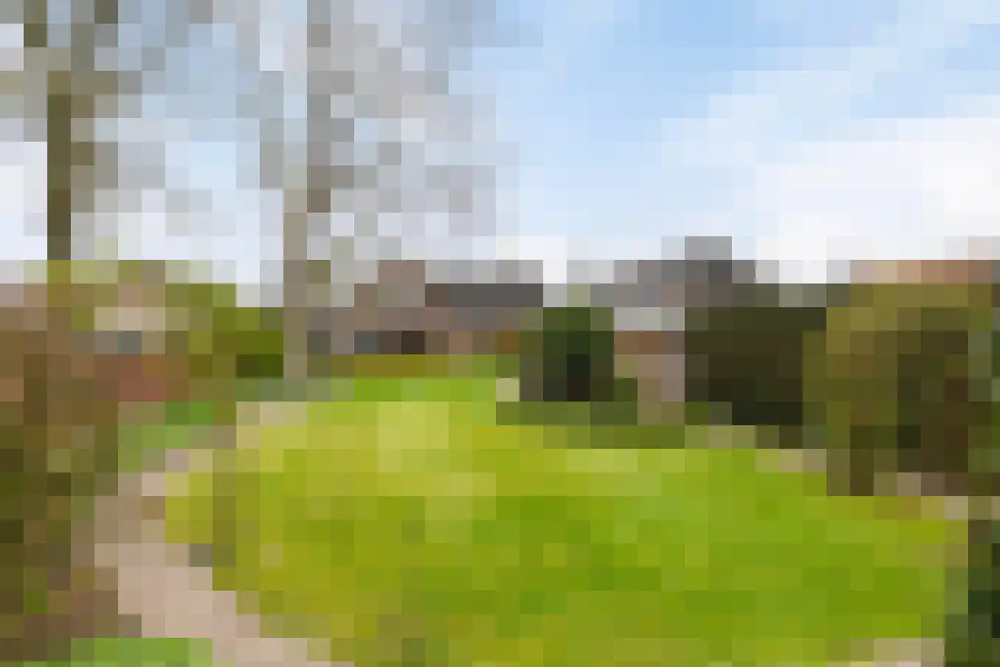Laagstraat 12 Haren thumbnail 43