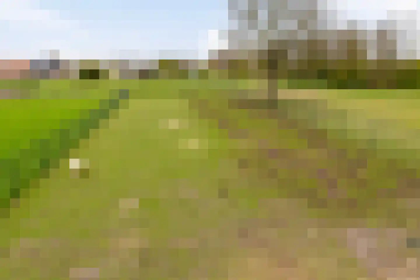 Laagstraat 12 Haren thumbnail 45