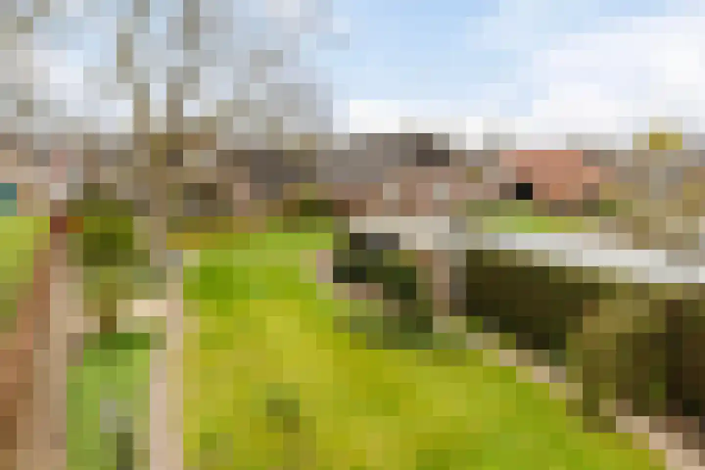 Laagstraat 12 Haren thumbnail 46